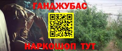 прущие грибы Комсомольск-на-Амуре