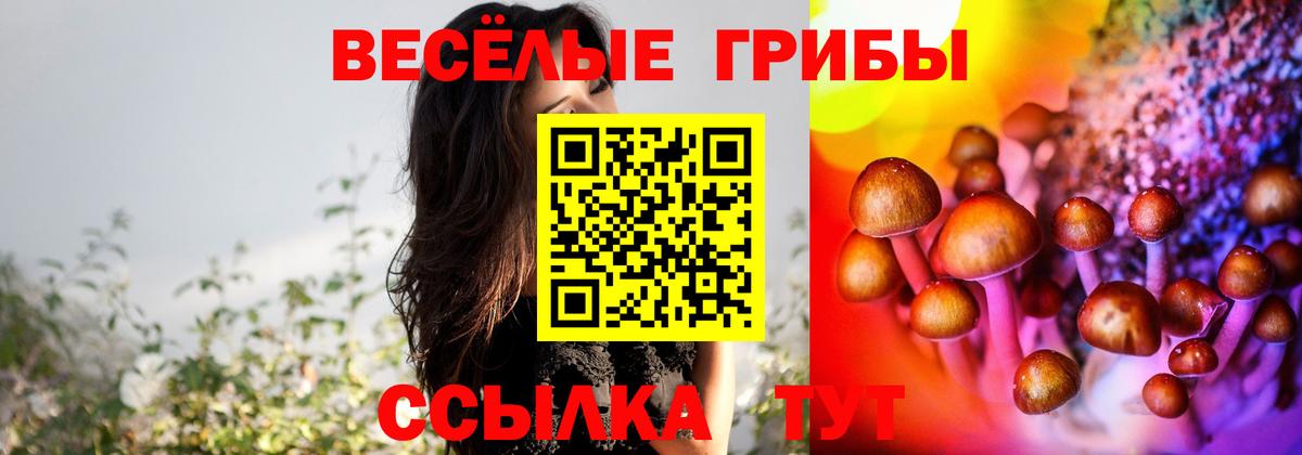 Галлюциногенные грибы Magic Shrooms  Вход с VPN  Кизляр 